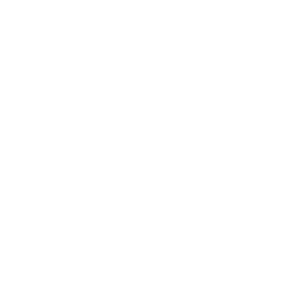 Hyman Logo